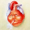 توضیح درباره سکته قلبی , تحقیق در مورد بیماری قلبی , سوراخprimumقلب 