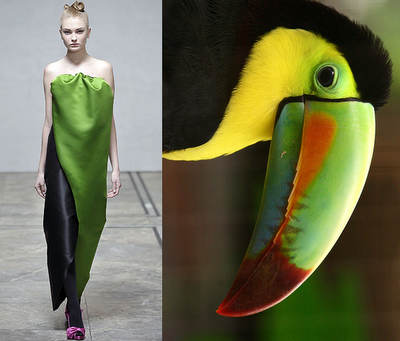 طراحی لباس با الهام از طبیعت