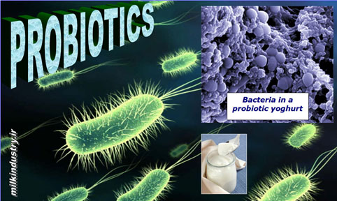  ناقل باکتری‌های پروبیوتیک