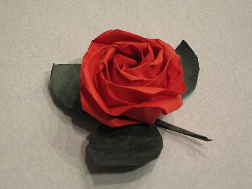 Rose and leaf folded