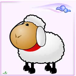 قصه :  گوسفند 