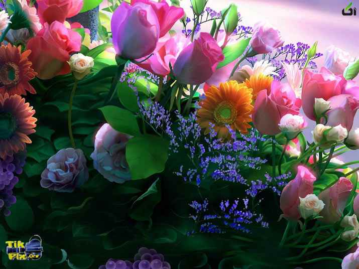 گل های بسیار زیبا و رویایی - آکا