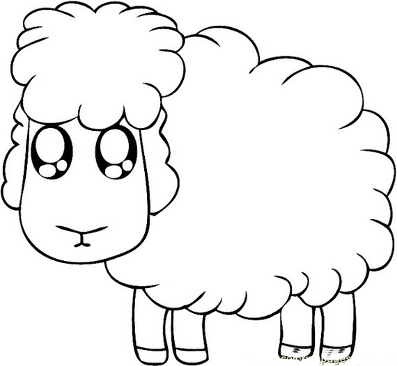 رنگ آمیزی گوسفند عید قربان