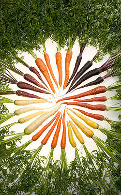250px-Carrots_of_many_colors.jpg