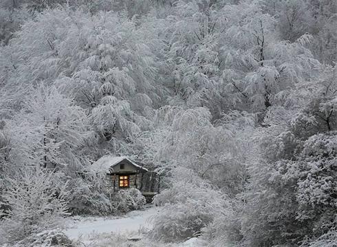 عکس طبیعت زمستان 
