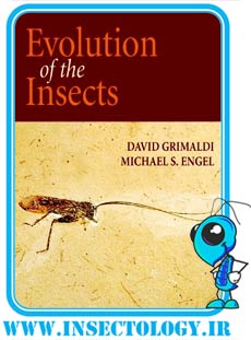 Evolution_of_the_Insects_David_Grimaldi_