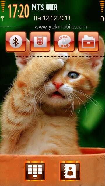 دانلود Red kitten تم زیبای بچه گربه ی شیطون برای گوشی های سیمبیان سری 60 ورژن 5