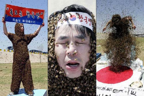 ,عجایبی که فقط در کره جنوبی می توان دید طنز,کره جنوبی,عکس,طنز،مطالب طنز