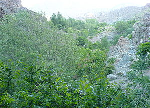 درهٔ گلاب‌دره در شمال تهران