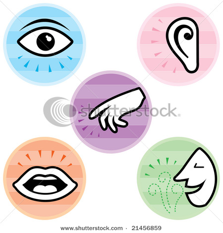 stock-vector-icon-set-for-the-five-diffe