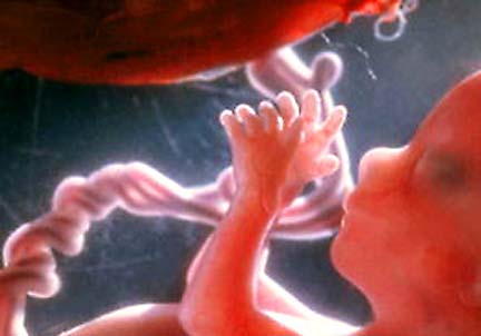 جنین,این اعتیاد از دوران جنینی شکل می گیرد,روزه داری برای مادر و جنین اثر بد ندارد