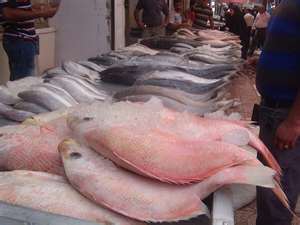 راه های تشخیص ماهی سالم , تشخیص ماهی تازه و سالم , راه های تشخیص سبزیجات فاسد و سالم 