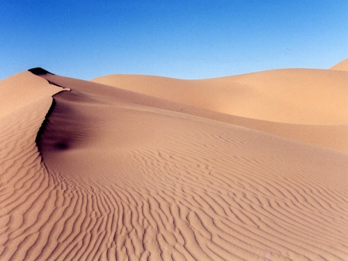 عکس بیابون و صحرا 