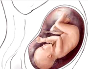 احتمال دوقلوزایی بعد از سقط طبیعی , چگونه احتمال بارداری را پس از سقط افزایش دهیم 