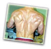 عضلات پشت (back)