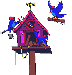 bluebirds building bird house  animations