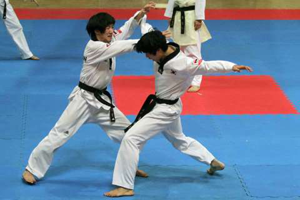 taekwondo-fajr%20(6).jpg