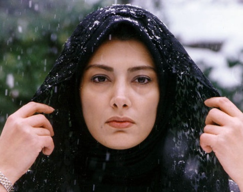 میزان تحصیلات ستاره های سینمای ایران چقدر است