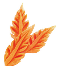 200x239xcarrot_leaf_carving_jpg_pagespee