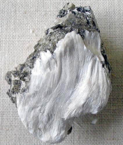 [White fibrous tremolite on grey muscovite from Great Bernera]