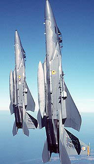 F-15eagle.jpg