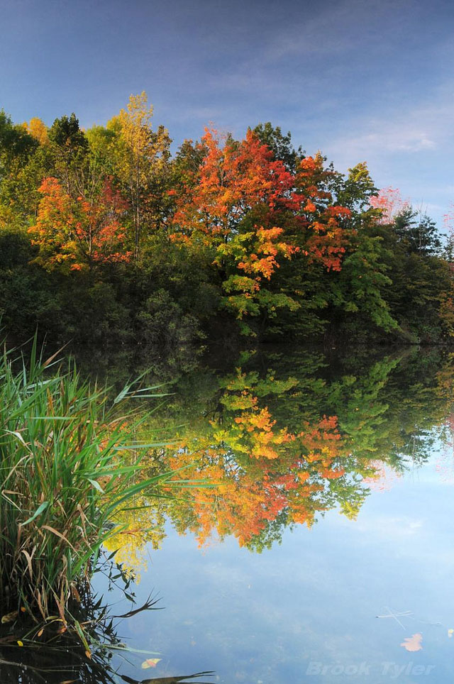 عکسهایی زیبا از پاییز رویایی در کانادا