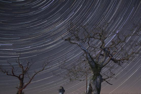 تصاویر زیبا از شبهای پر ستاره