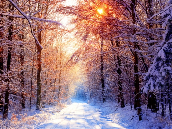 تصاویر زیبای زمستانی