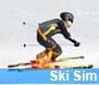بازی آنلاین فلش شبیه سازی اسکی سواری - ورزشی