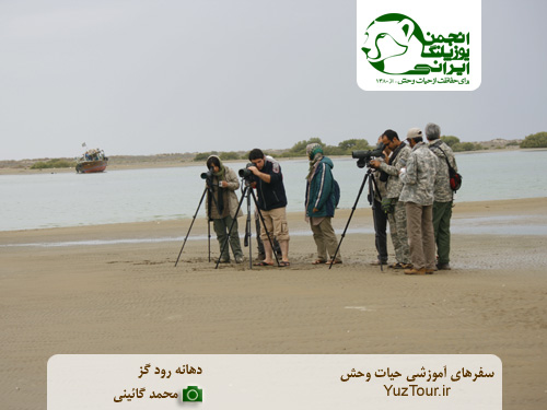 منطقه حفاظت شده دهانه رود گز - تورهای حیات وحش انجمن یوزپلنگ ایرانی
