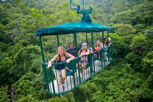aerial_tram_pacific_rain_forest_tour_pic