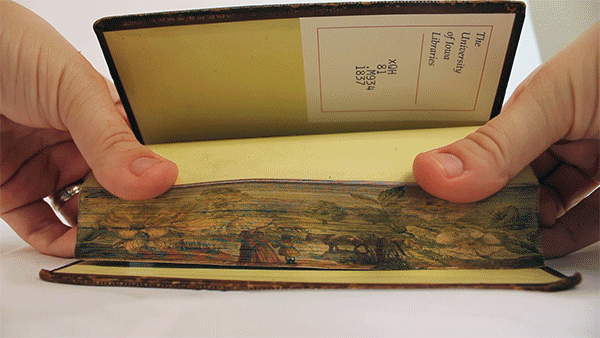 نقاشی های پنهان مرموز در کتابهای قرن 19