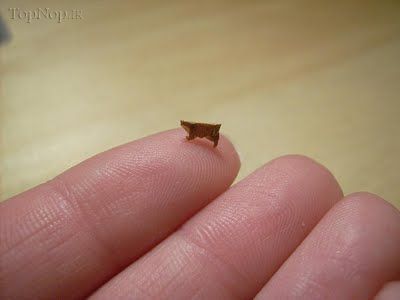 کوچکترین اوریگامی های دنیا (21 عکس)