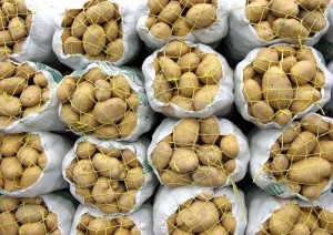 رئیس اتحادیه بارفروشان: مردم ۲ هفته تحمل کنند “سیب زمینی” ارزان می‌شود