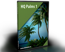 HQ Palms