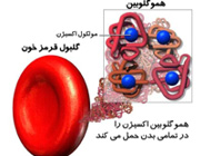 تفسیر اجزای آزمایش خون (2)