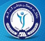 باشگاه فرهنگي ورزشي گل گهر سیرجان