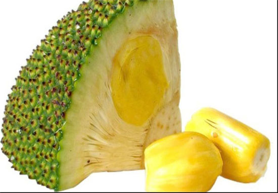 ,durian,jackfruit,passion fruit,[categoriy]