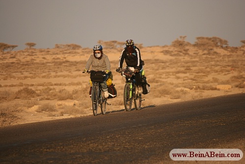 دور جزیره با دوچرخه - محمد گائینی