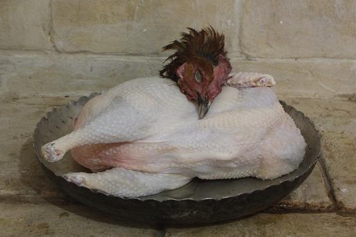 تولید مرغ و تخم مرغ محلی 