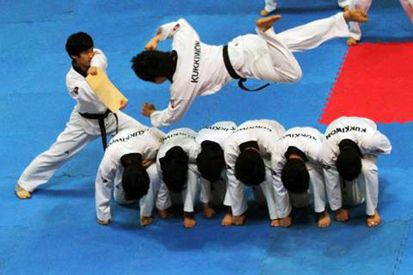 taekwondo-fajr%20(1).jpg