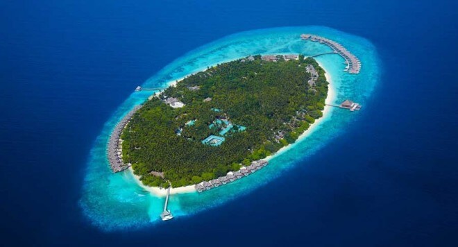 اخبار,اخبار گوناگون,جزایرمرجانی مالدیو