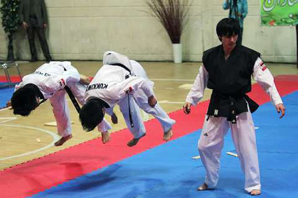 taekwondo-fajr%20(9).jpg