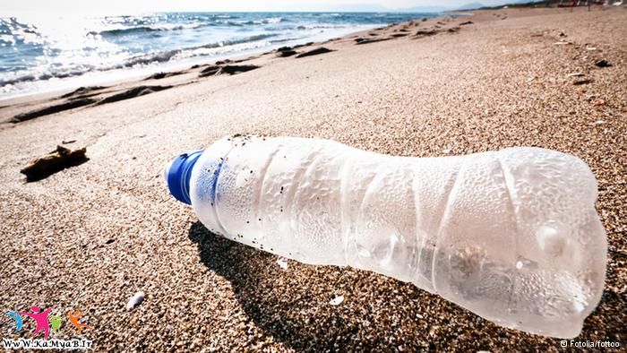 داستان زندگی پلاستیک