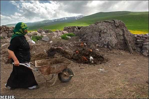 زندگی و کوچ عشایر ایرانی در یک نگاه
