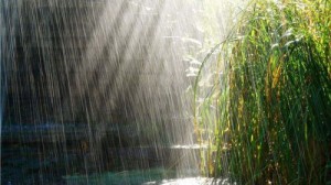 عکس بارش باران وامام زمان 