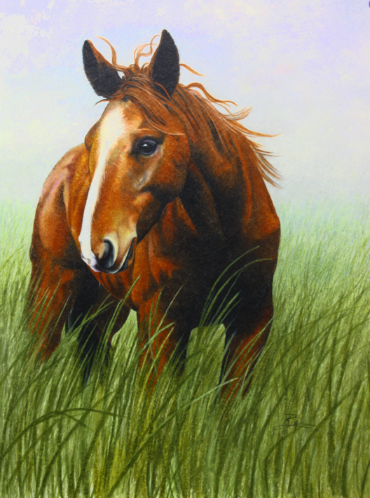 نقاشی با مداد رنگی از اسب