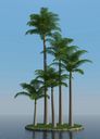 مدل درخت استوایی نخل