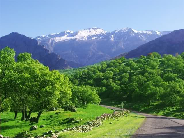 طبیعت کردستان
